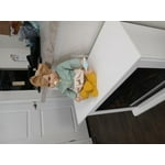 Image 5 of customer photos