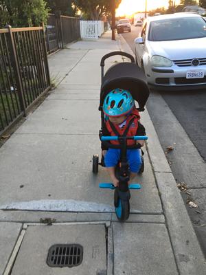 smart trike zip