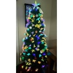 Image 5 of customer photos