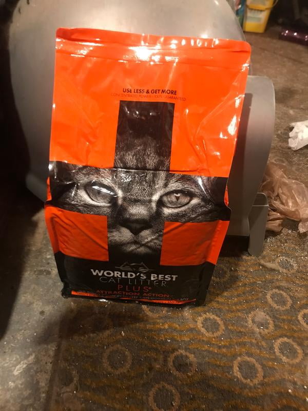 world's best cat litter plus attraction action