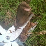 Image 5 of customer photos