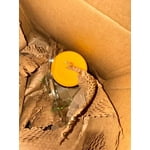 Image 7 of customer photos