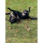 Image 1 of customer photos