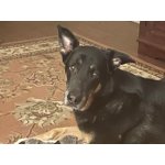 Imagen 2 de las fotos del cliente