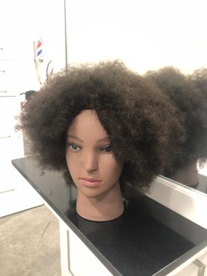 coarse hair mannequin