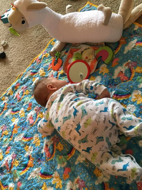 fisher price tummy time llama