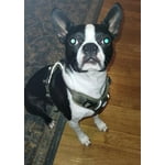 Image 5 of customer photos