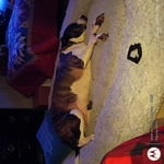 Image 1 of customer photos