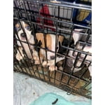 Image 5 of customer photos