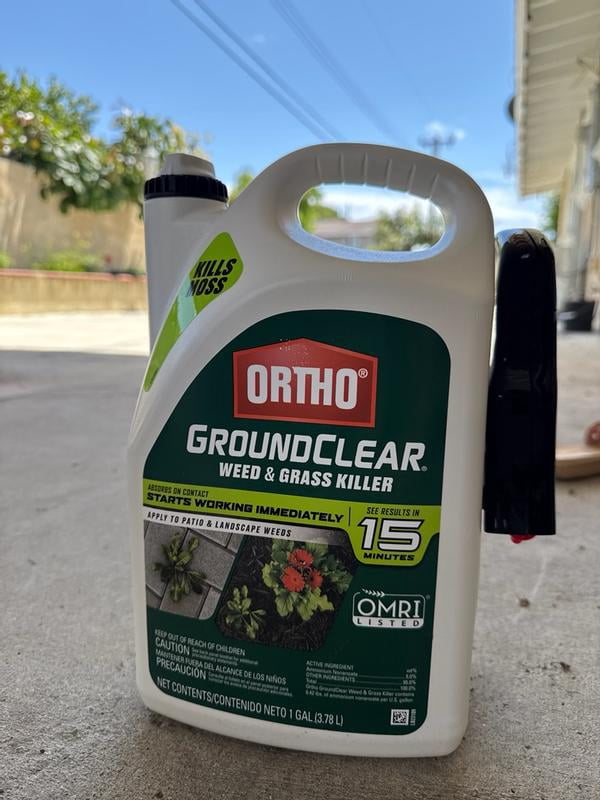 Free Shipping! Ortho Year Long Vegetation Killer with Comfort Wand