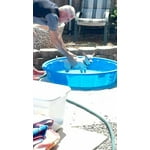 Image 4 of customer photos