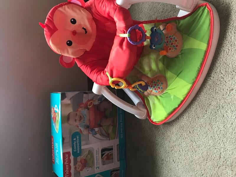 fisher price giraffe seat