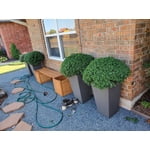 Image 1 of customer photos