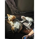 Imagen 9 de las fotos del cliente