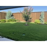 Image 5 of customer photos