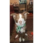 Image 2 of customer photos