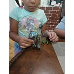 Image 4 of customer photos