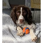 Image 5 of customer photos