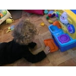 Image 3 of customer photos