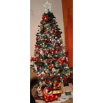 Image 3 of customer photos