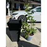 Image 5 of customer photos