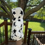 Image 2 of customer photos