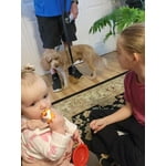 Image 7 of customer photos