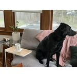 Image 3 of customer photos