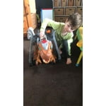 Image 4 of customer photos