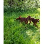 Image 3 of customer photos