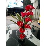 Image 2 of customer photos