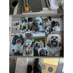 Image 4 of customer photos