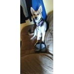 Image 3 of customer photos