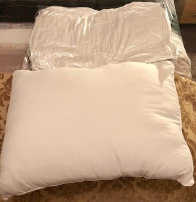 celeep pillows