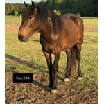 Image 3 of customer photos