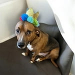 Image 2 of customer photos