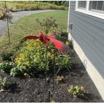 Image 1 of customer photos