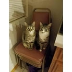 Image 7 of customer photos