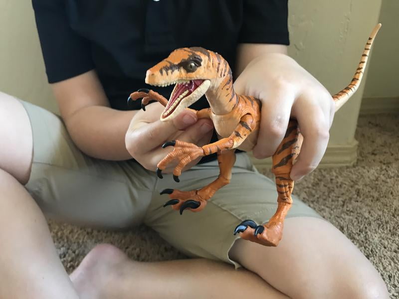 amber collection tiger velociraptor