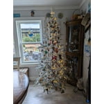 Image 2 of customer photos