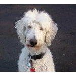 Image 7 of customer photos