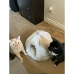 Image 2 of customer photos