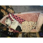 Image 6 of customer photos