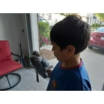 Image 2 of customer photos