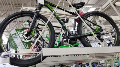 schwinn boundary weight limit