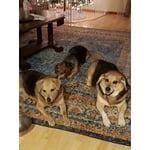 Image 2 of customer photos