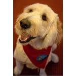 Image 4 of customer photos