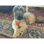 Image 5 of customer photos