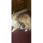 Image 7 of customer photos