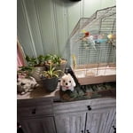 Image 2 of customer photos
